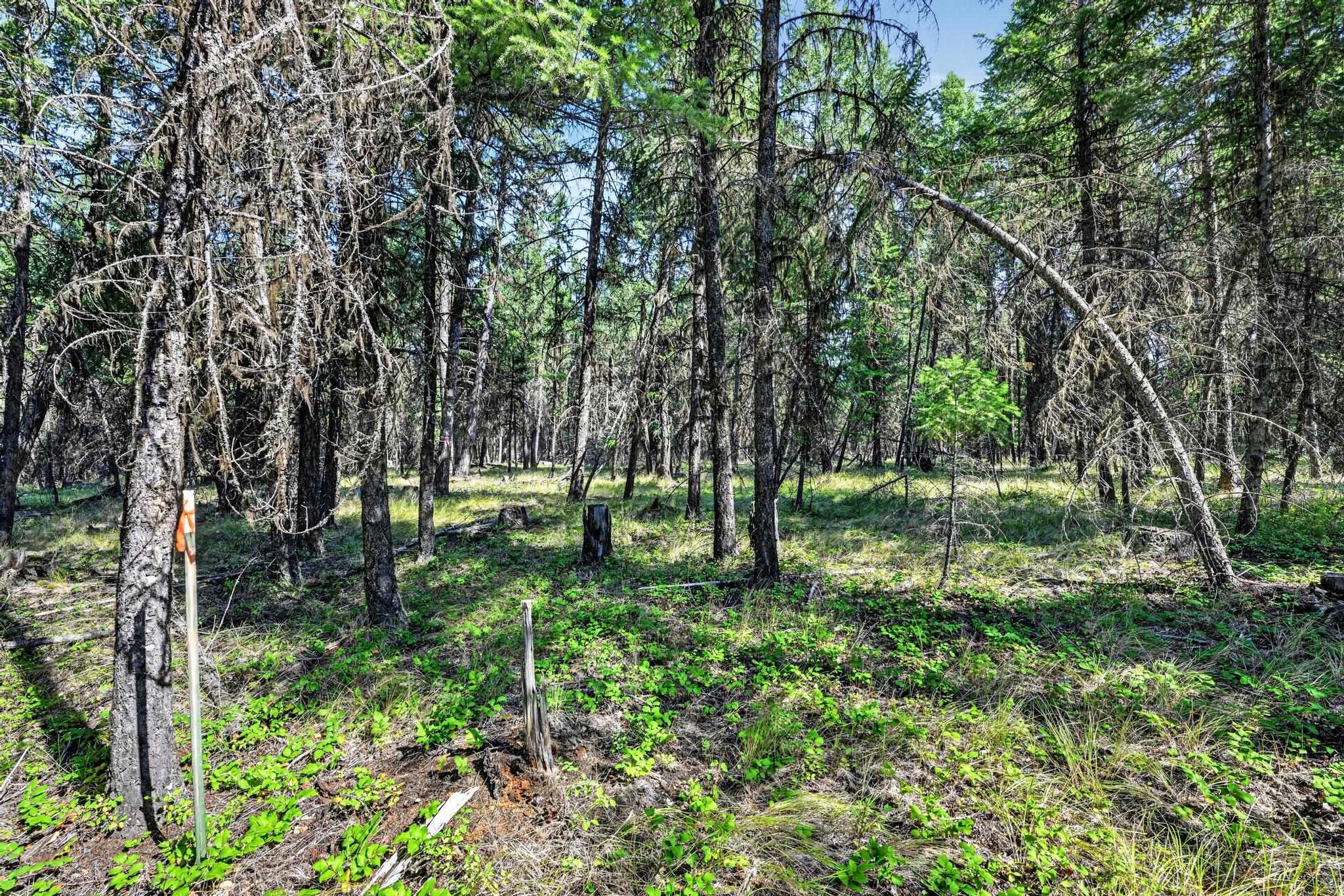 Lot 4 Forest Ridge Road