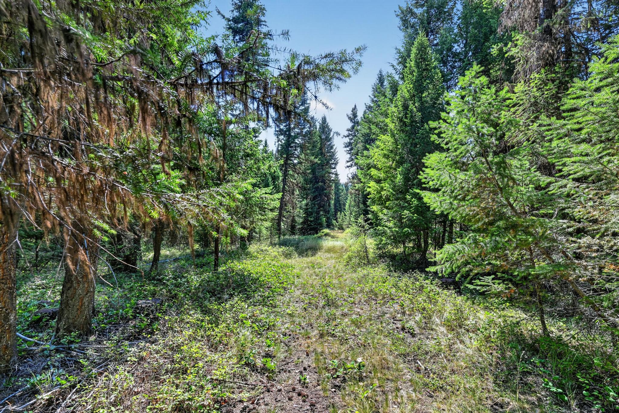 Lot 4 Forest Ridge Road