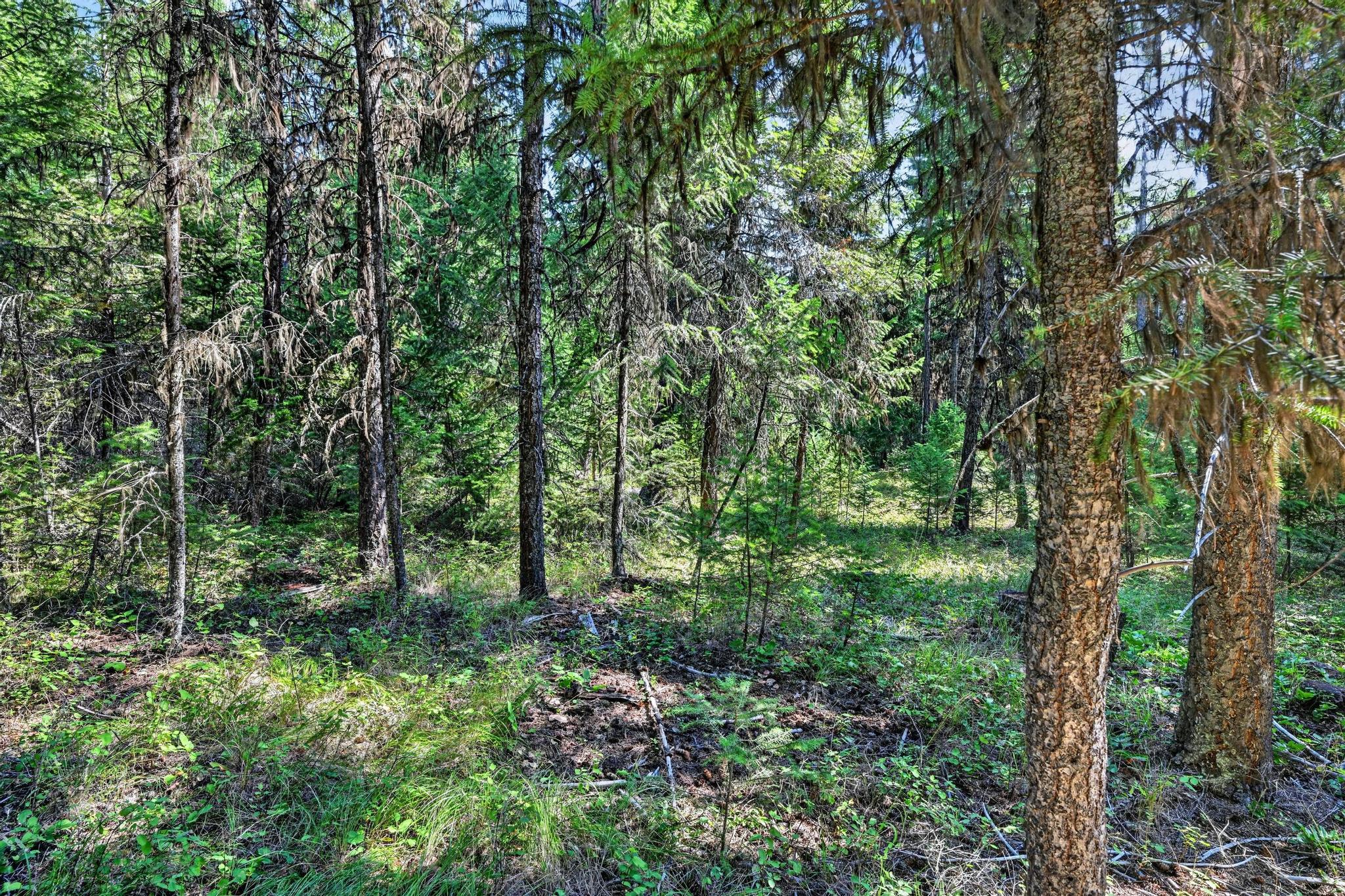 Lot 4 Forest Ridge Road