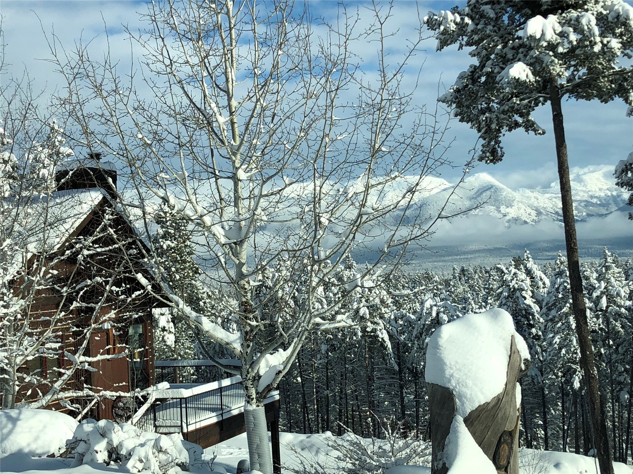 1173 Cygnet Trail