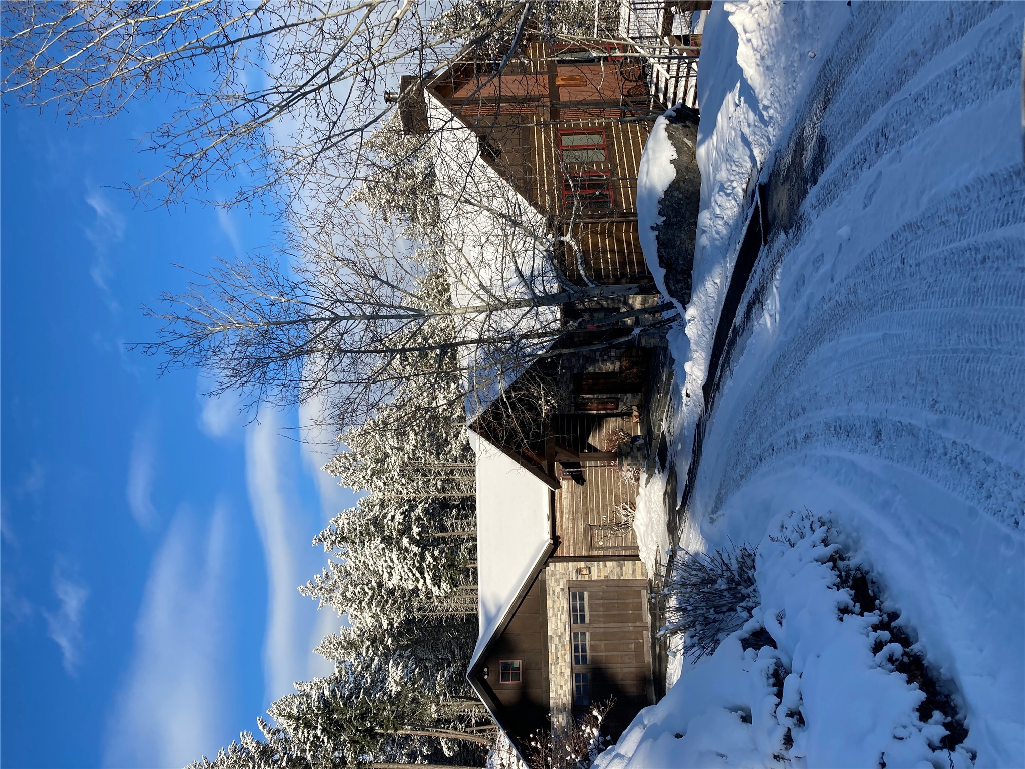1173 Cygnet Trail