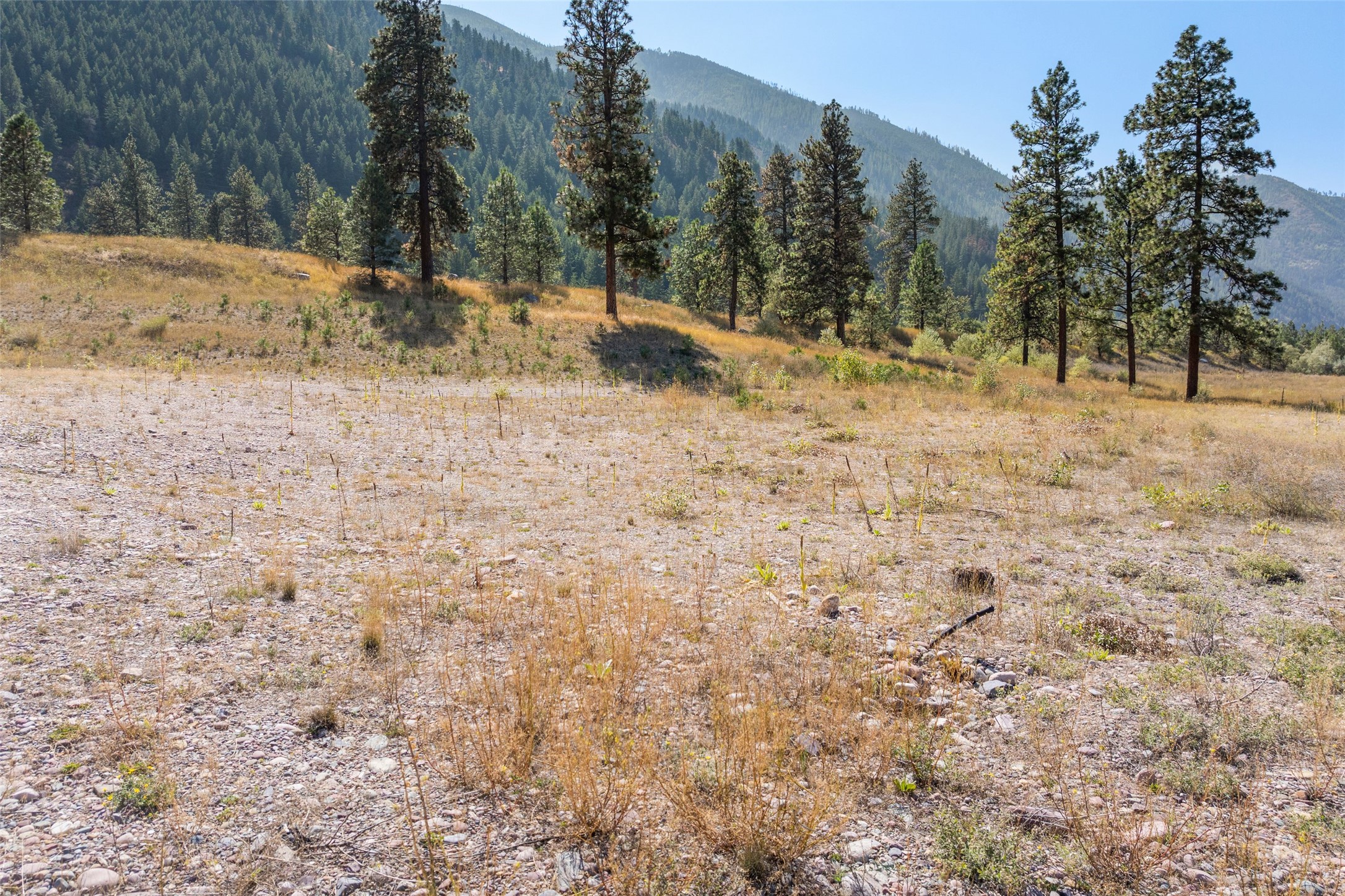 857 Anglers Bend Way