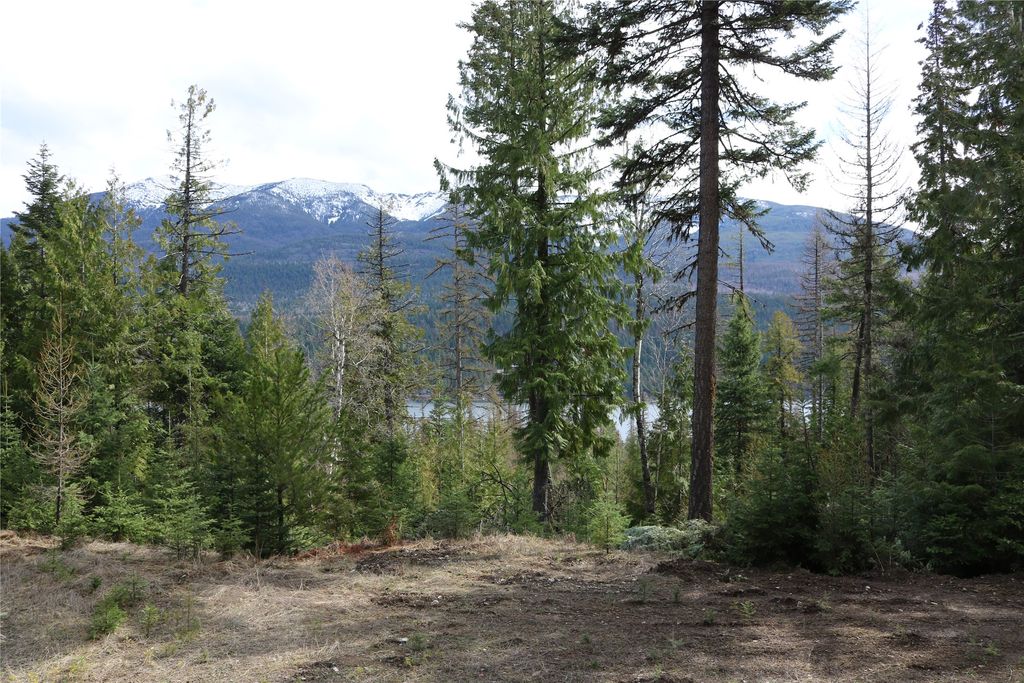Photo of NHN Into The Woods Trail, Bigfork, MT 59911 (MLS # 30068709)