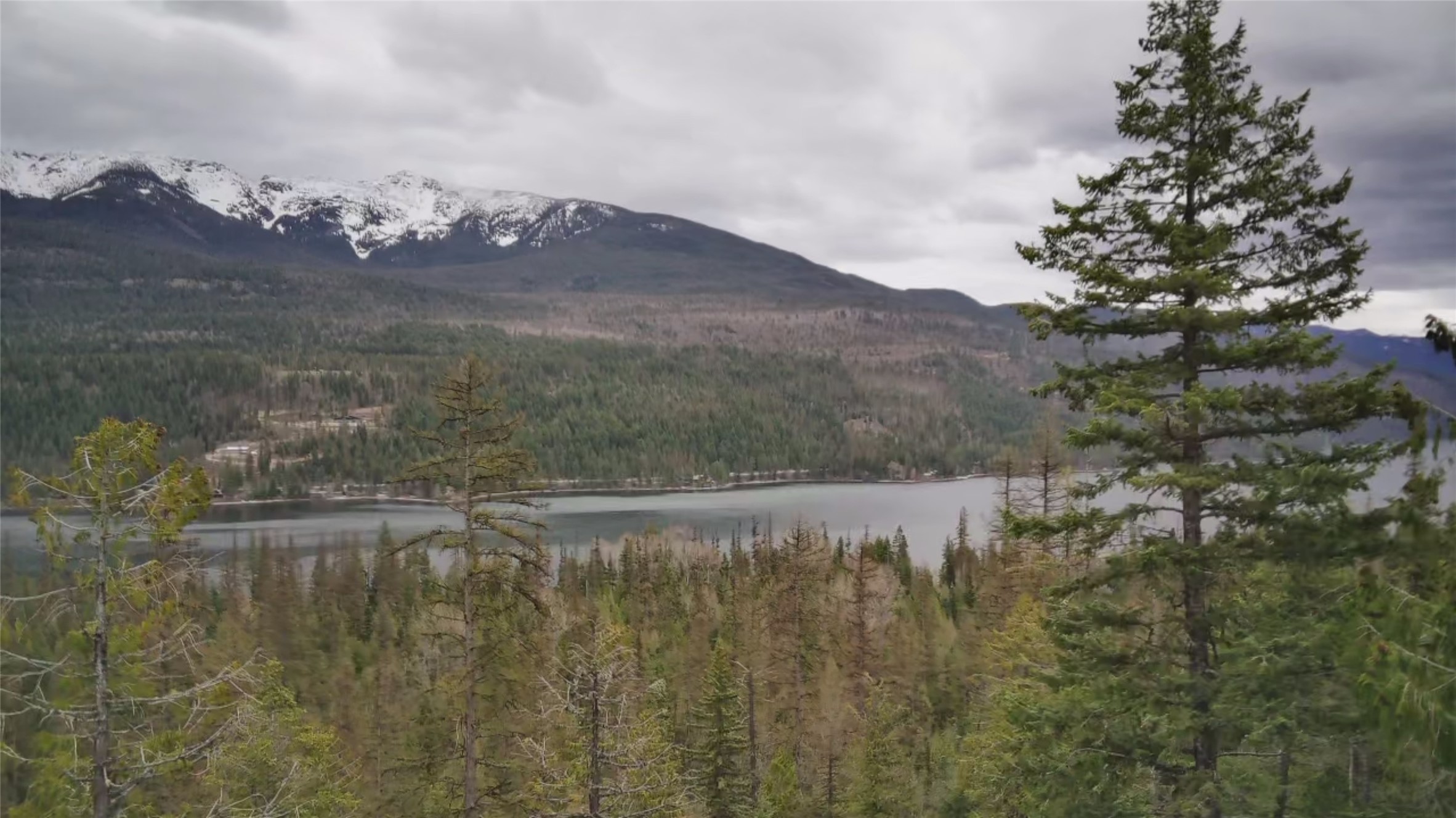 NHN Into The Woods Trail