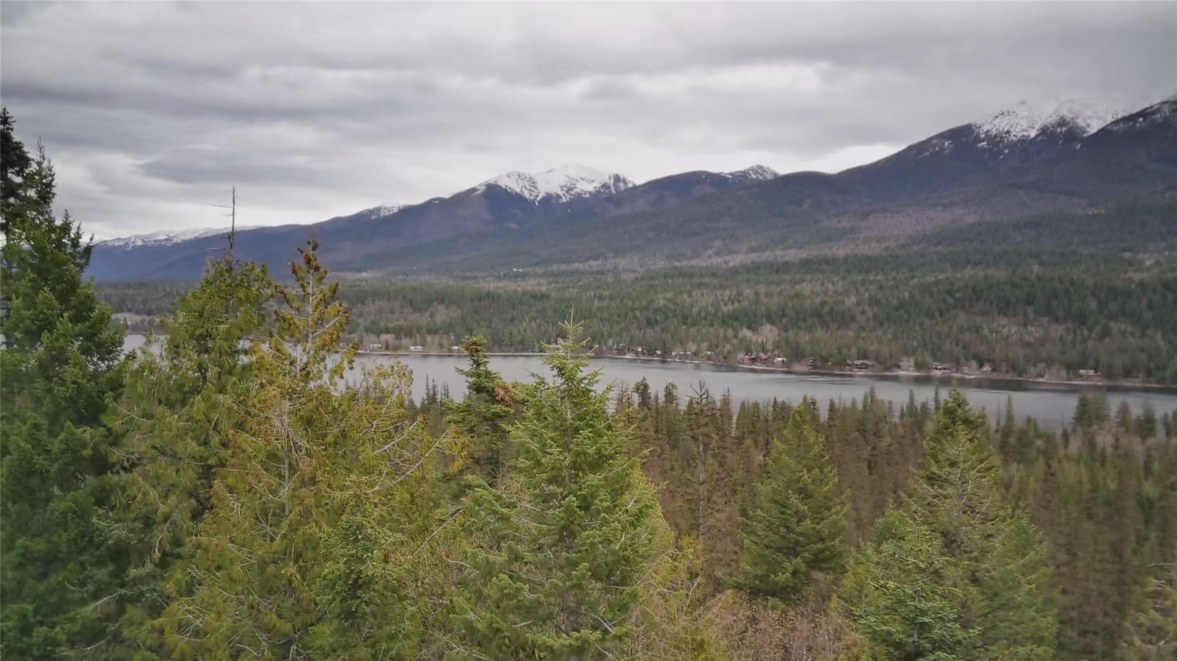 NHN Into The Woods Trail