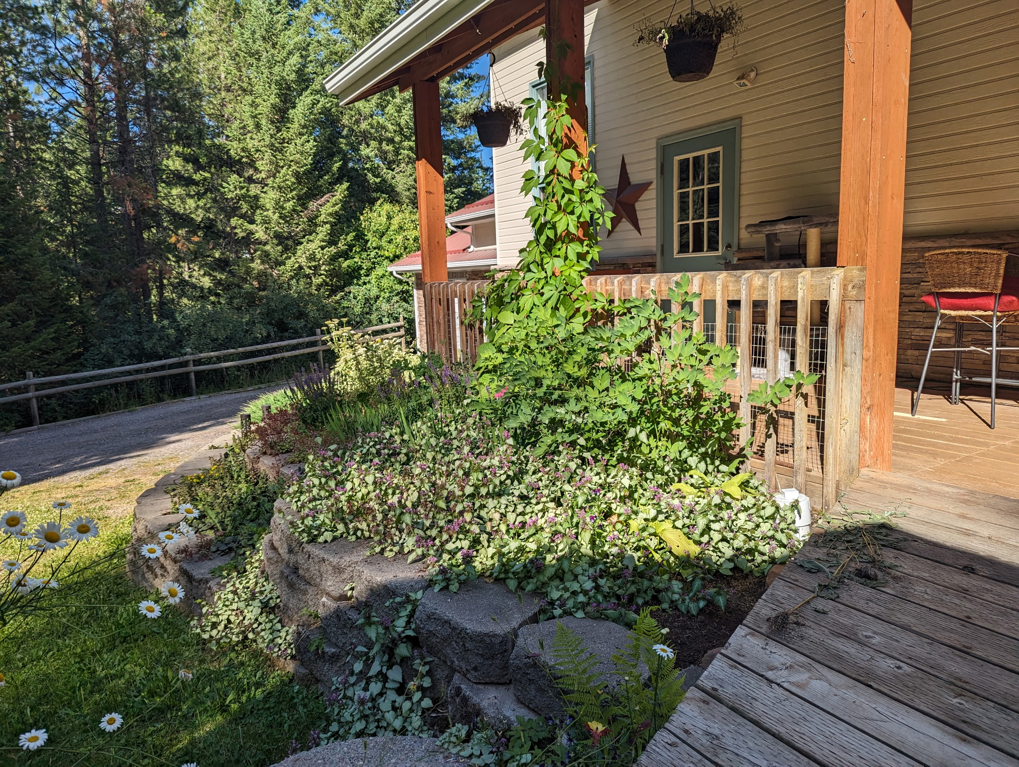 1022 Grizzly Mountain Road