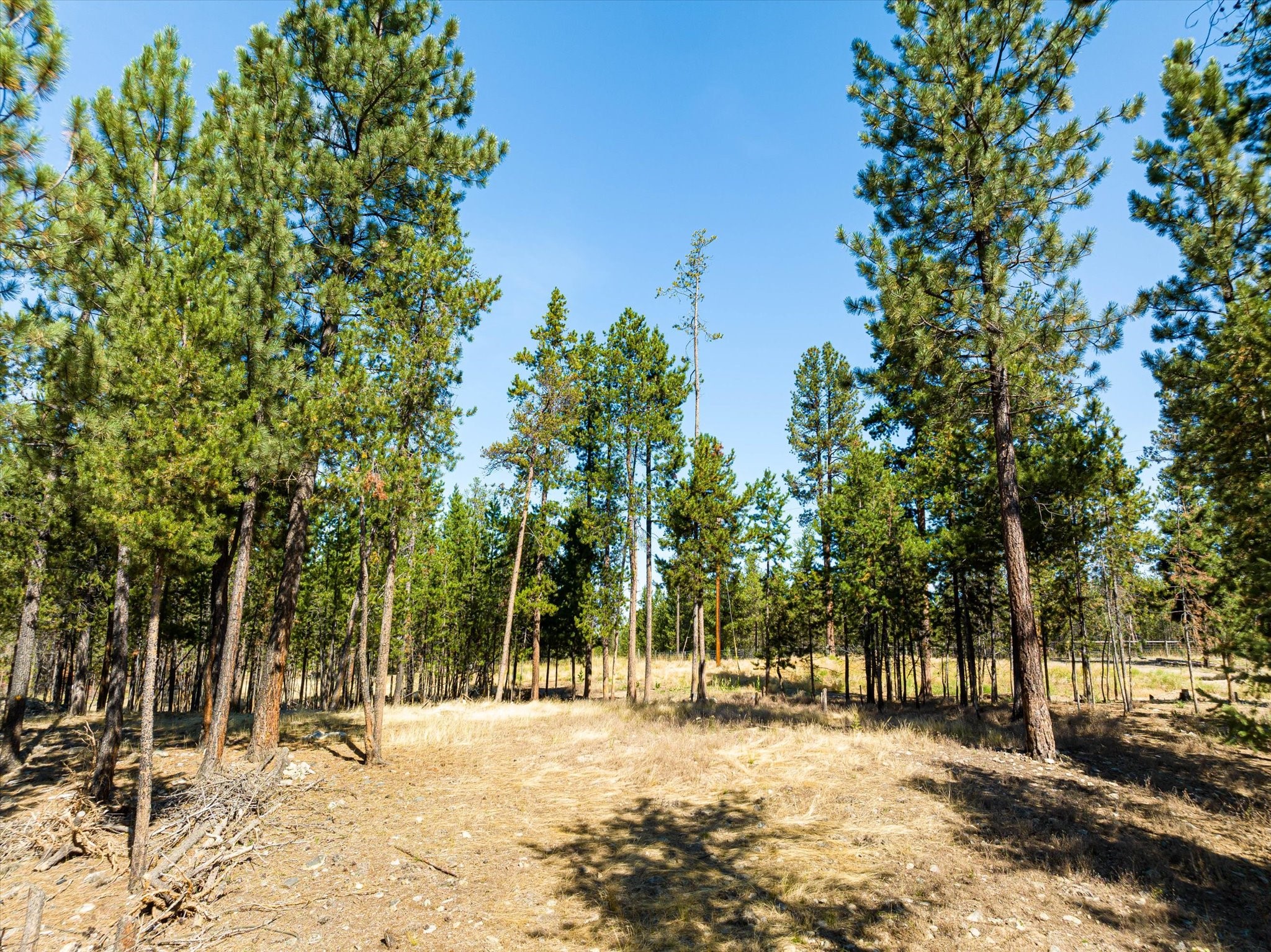 Marion, Montana 59925, United States, 2 Bedrooms Bedrooms, ,1 BathroomBathrooms,Residential,Active,141816