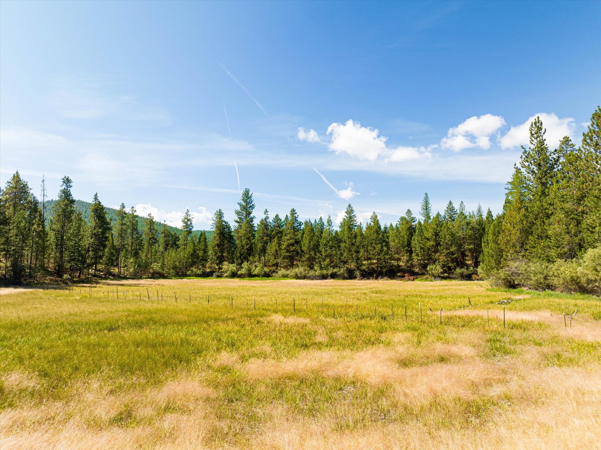 Marion, Montana 59925, United States, 2 Bedrooms Bedrooms, ,1 BathroomBathrooms,Residential,Active,141816