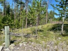 Marion, Montana 59925, United States, 2 Bedrooms Bedrooms, ,1 BathroomBathrooms,Residential,Active,141816