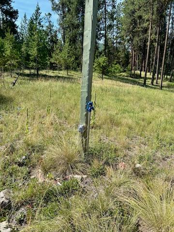 Marion, Montana 59925, United States, 2 Bedrooms Bedrooms, ,1 BathroomBathrooms,Residential,Active,141816