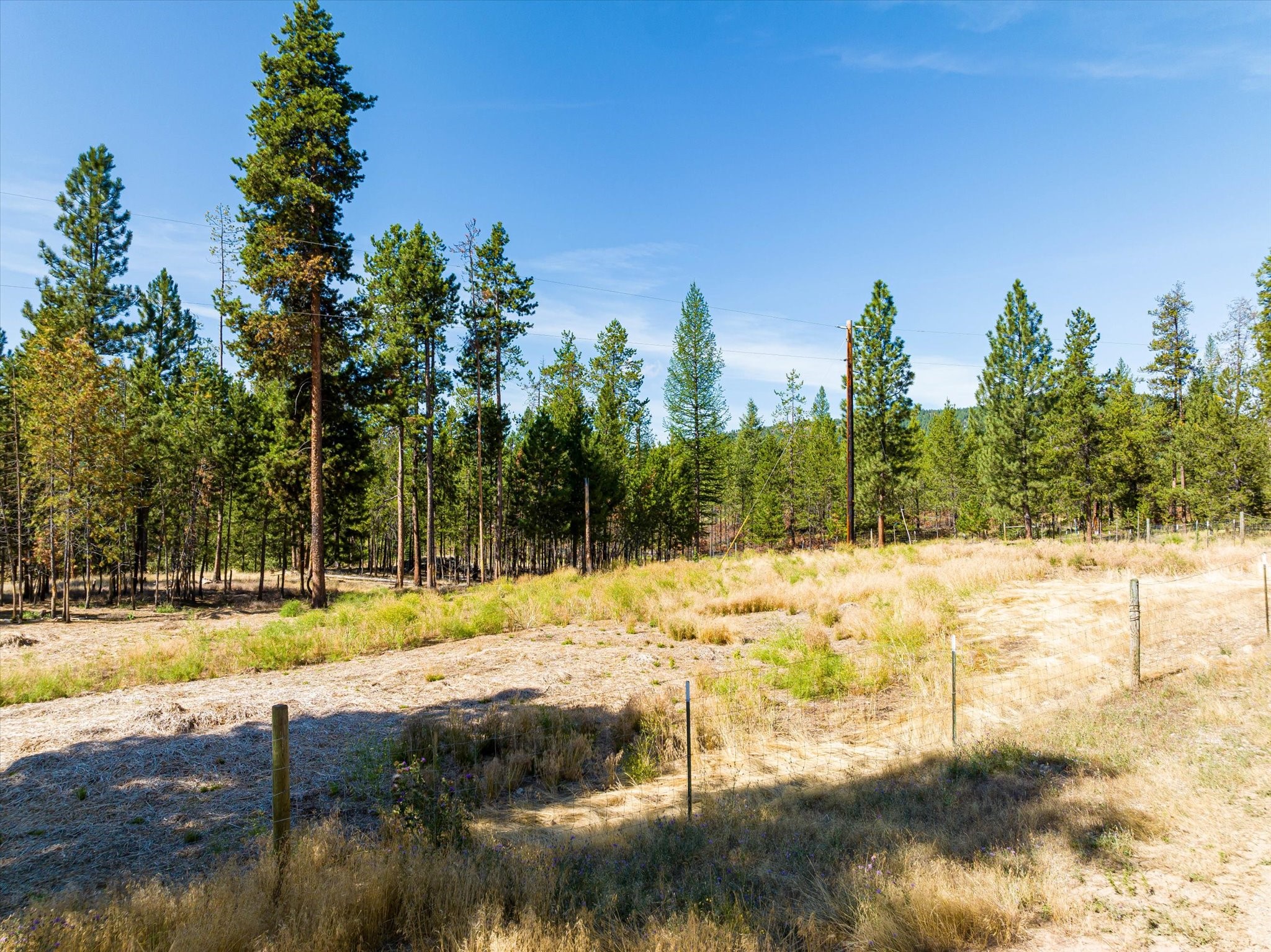 Marion, Montana 59925, United States, 2 Bedrooms Bedrooms, ,1 BathroomBathrooms,Residential,Active,141816