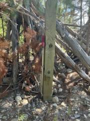 Marion, Montana 59925, United States, 2 Bedrooms Bedrooms, ,1 BathroomBathrooms,Residential,Active,141816