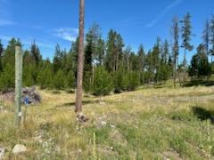 Marion, Montana 59925, United States, 2 Bedrooms Bedrooms, ,1 BathroomBathrooms,Residential,Active,141816