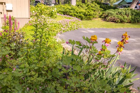 Tiny photo for 516 Peaceful Drive, Bigfork, MT 59911 (MLS # 30073089)