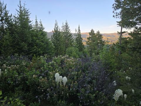 Tiny photo for 11 Nine Mile Road, Huson, MT 59846 (MLS # 30073197)