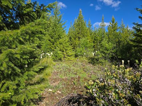 Tiny photo for 11 Nine Mile Road, Huson, MT 59846 (MLS # 30073197)