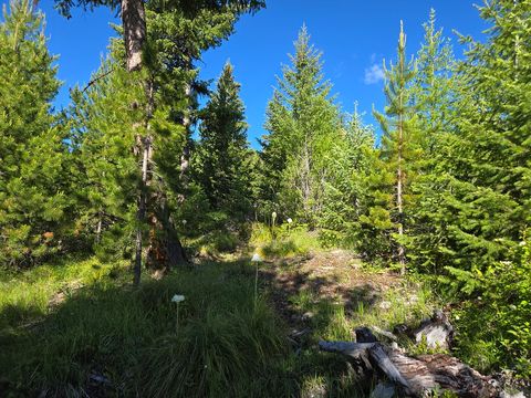Tiny photo for 11 Nine Mile Road, Huson, MT 59846 (MLS # 30073197)