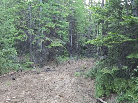 Tiny photo for 11 Nine Mile Road, Huson, MT 59846 (MLS # 30073197)