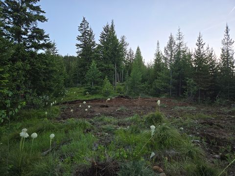 Tiny photo for 11 Nine Mile Road, Huson, MT 59846 (MLS # 30073197)
