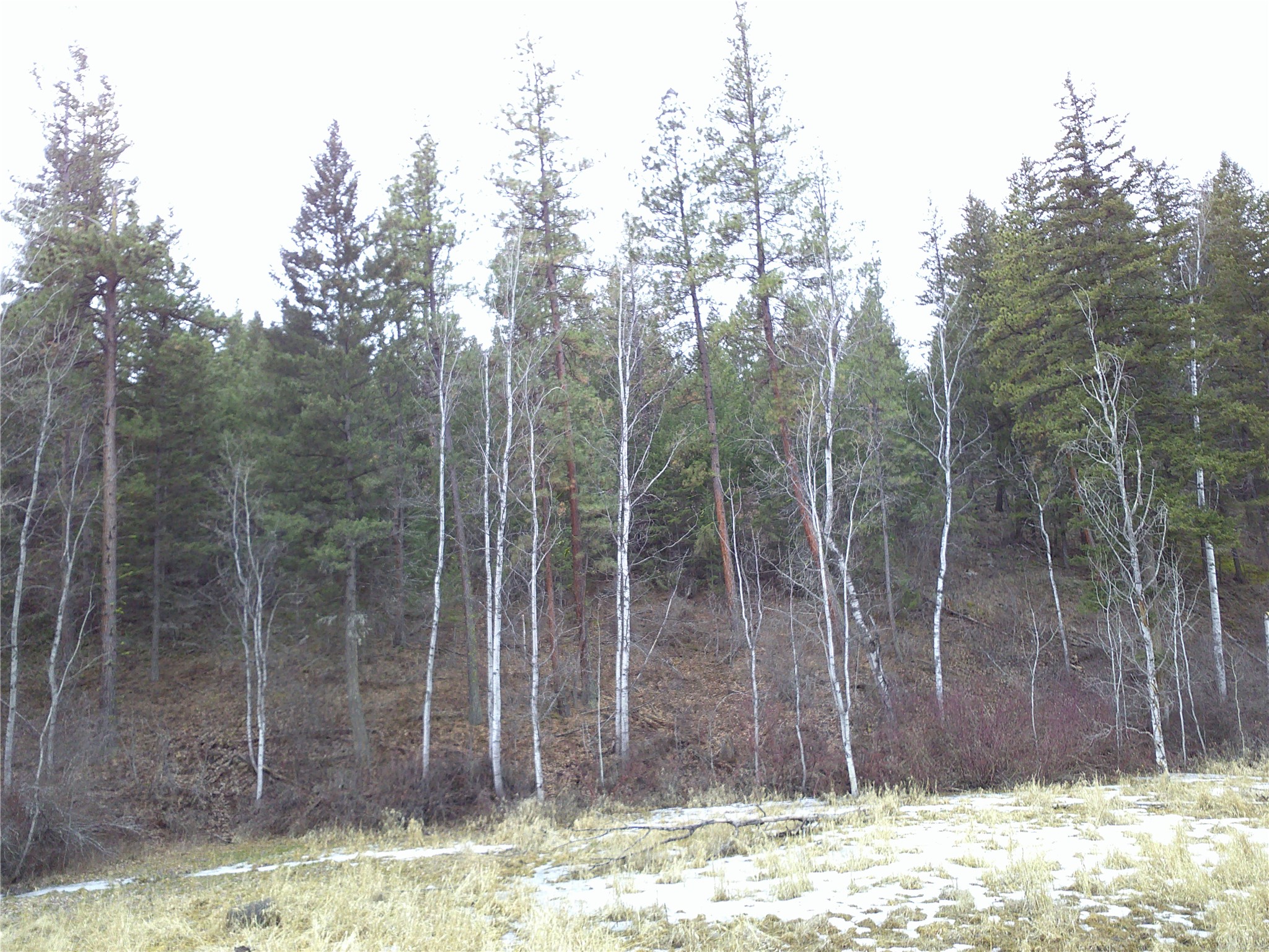 NHN Browns Meadow Road