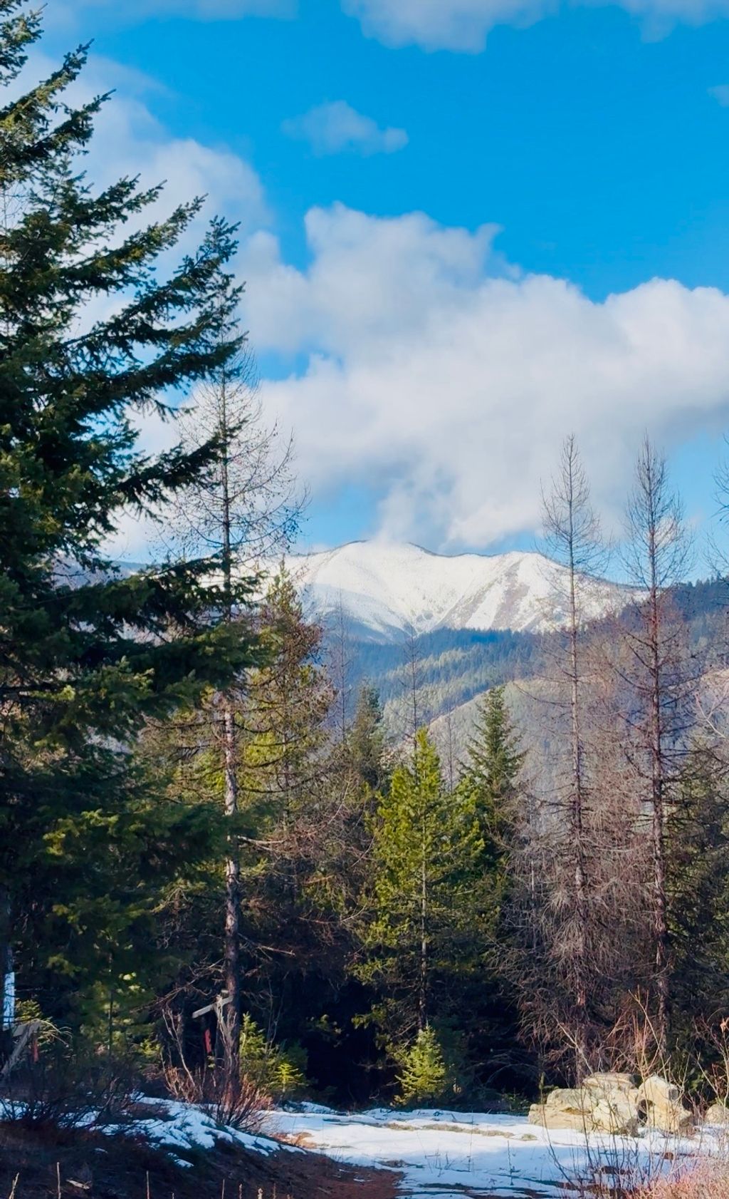 Photo of Lots 5 &amp; 6 Panoramic View Drive, Libby, MT 59923 (MLS # 30070326)