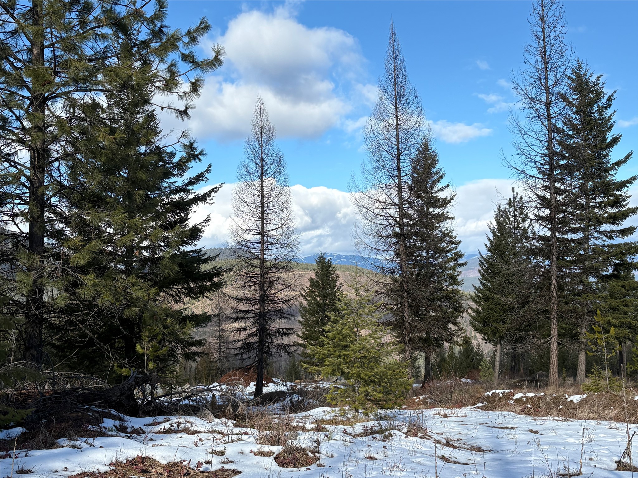 Lots 5 & 6 Panoramic View Drive