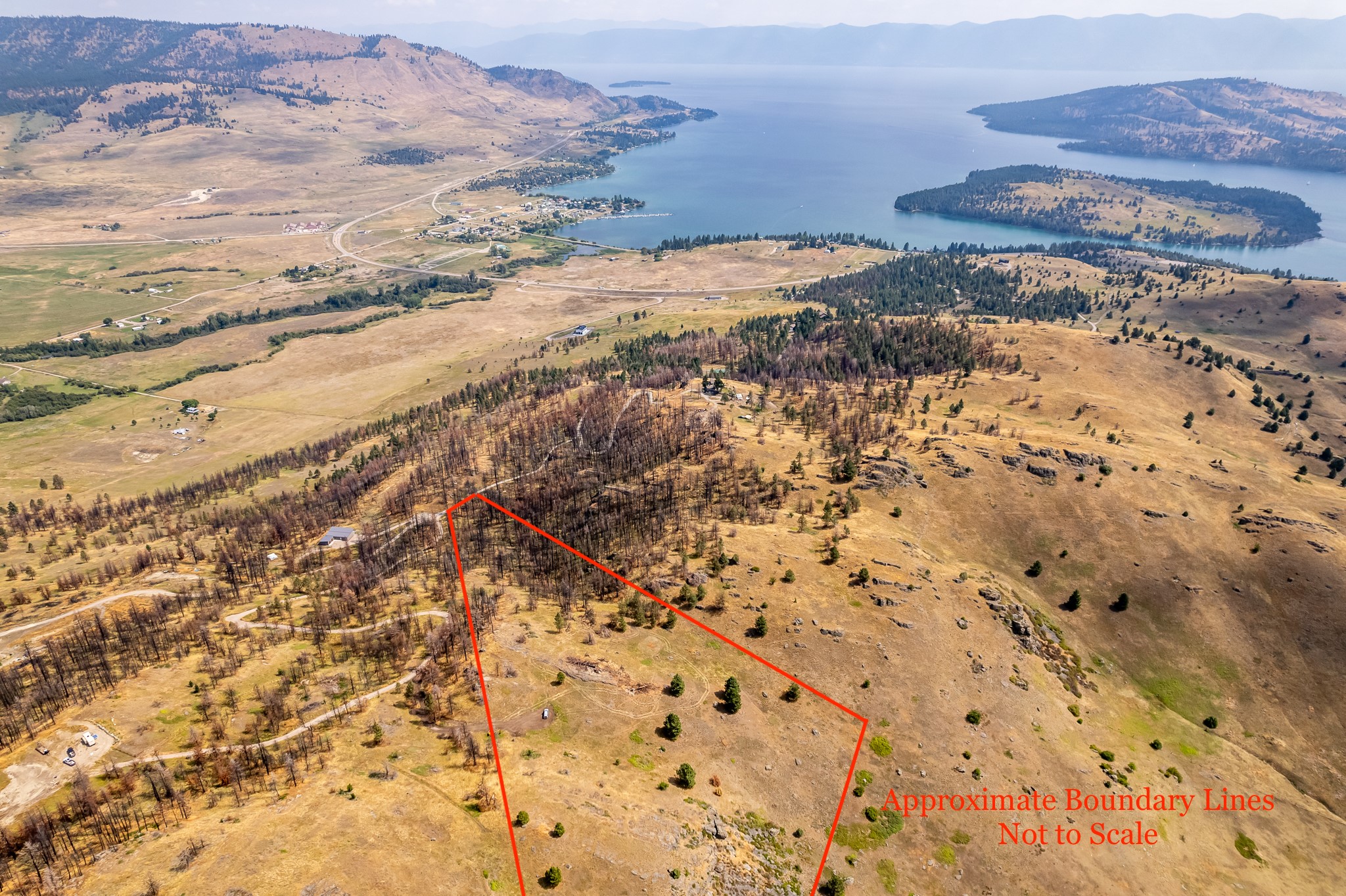 TBD Chief Cliff Lane