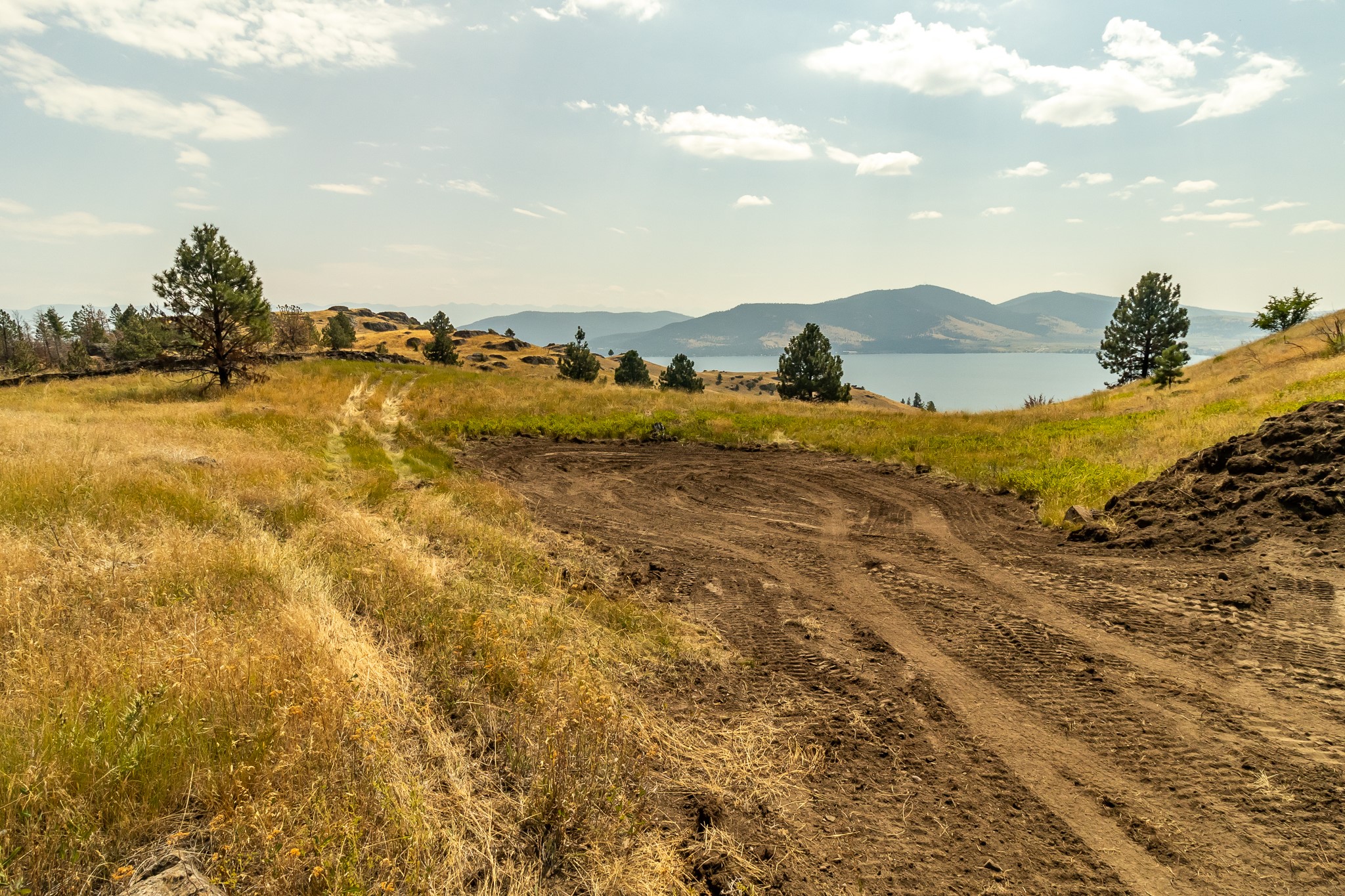 TBD Chief Cliff Lane