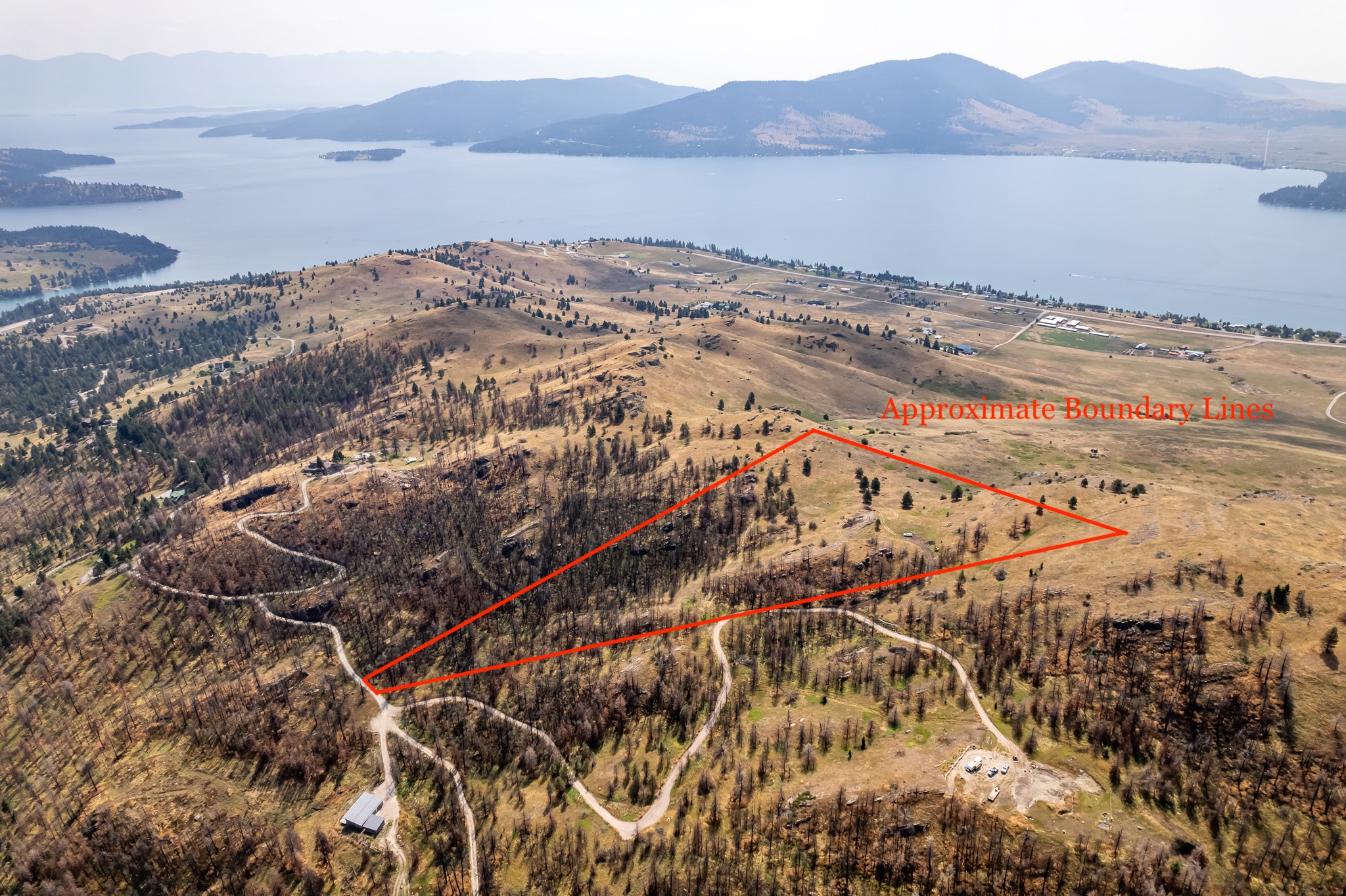 TBD Chief Cliff Lane