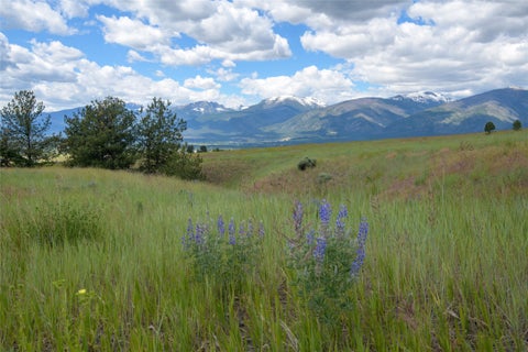 Tiny photo for Lot 5B High Post Court, Florence, MT 59833 (MLS # 30073220)