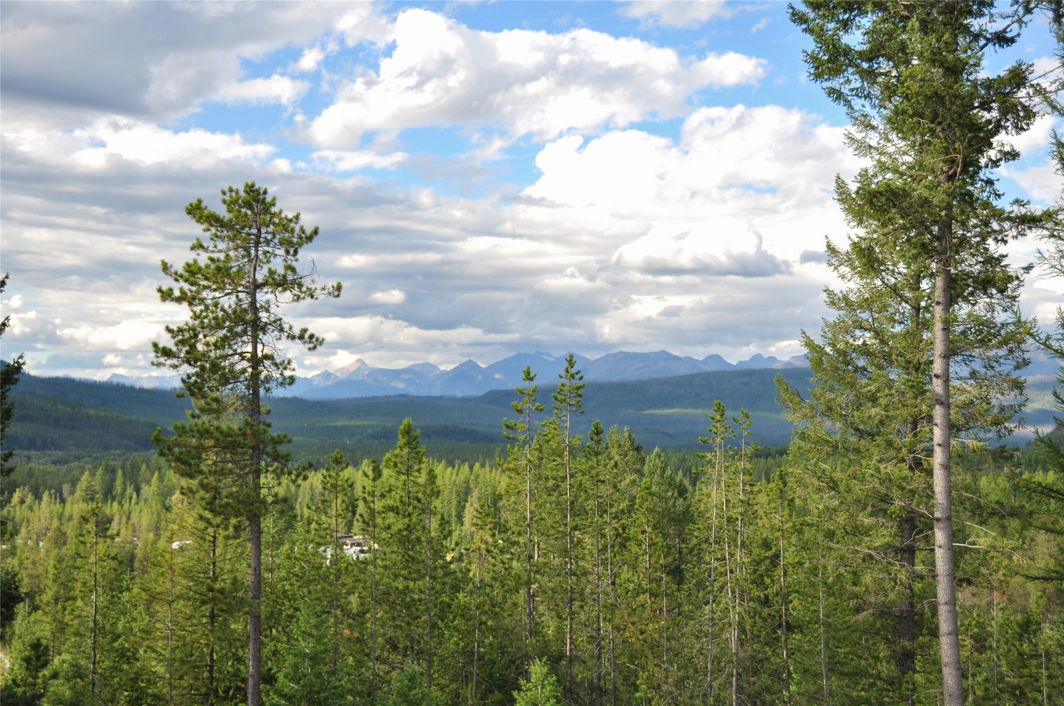 NHN Highland Drive