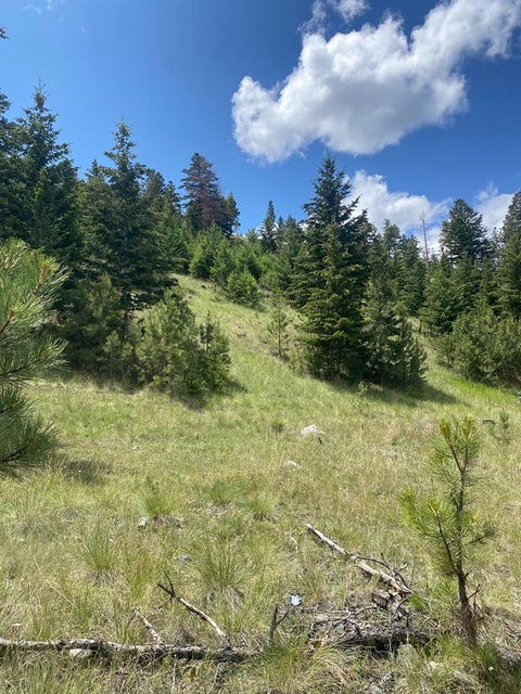 Tiny photo for 1242 Winscott Lane, Helena, MT 59601 (MLS # 30069291)