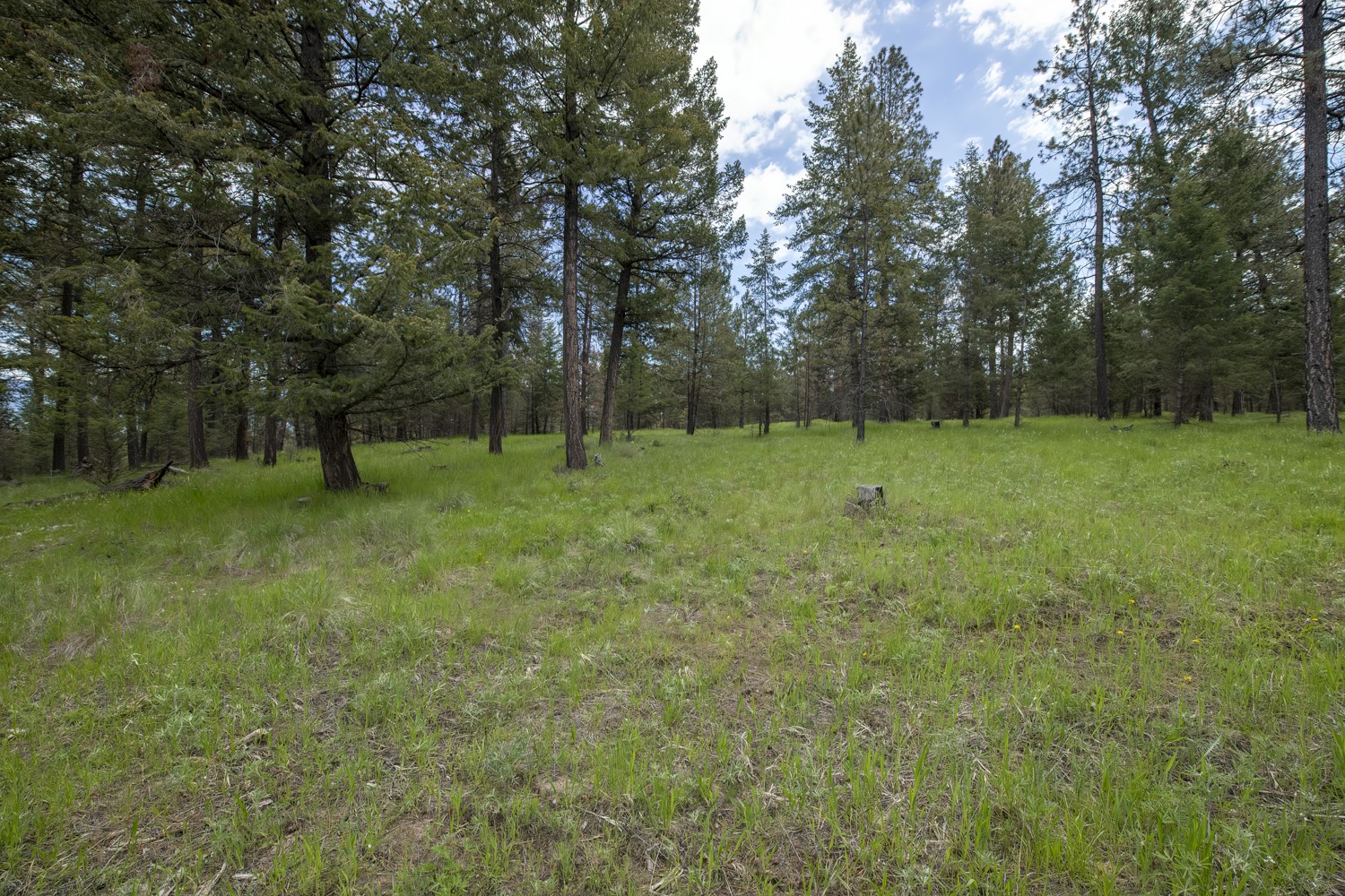 Lot 1 Elk Camp