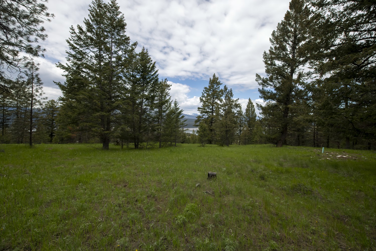 Lot 1 Elk Camp
