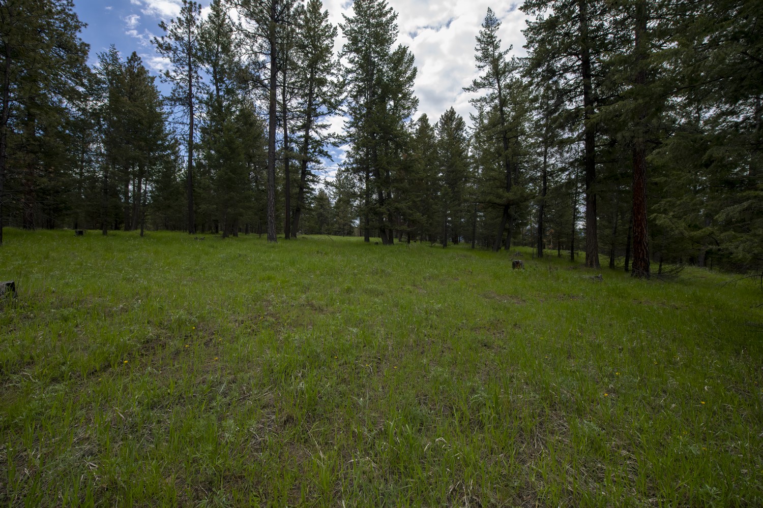 Lot 1 Elk Camp