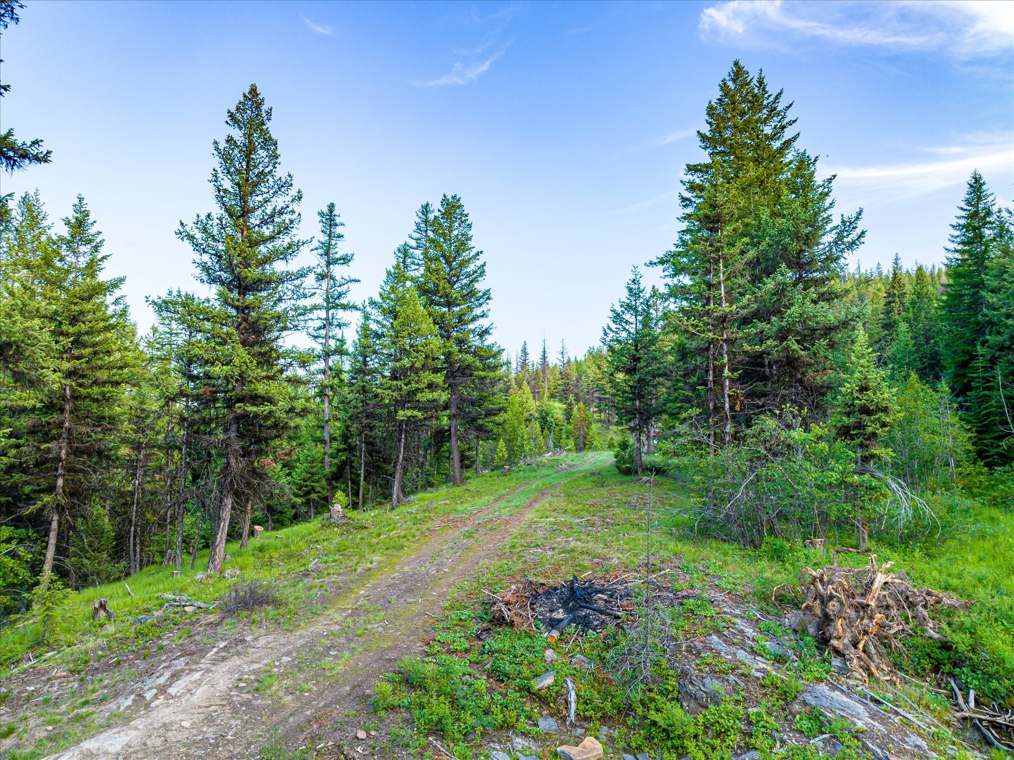 Marion, Montana 59925, United States, ,Land,Active,59520