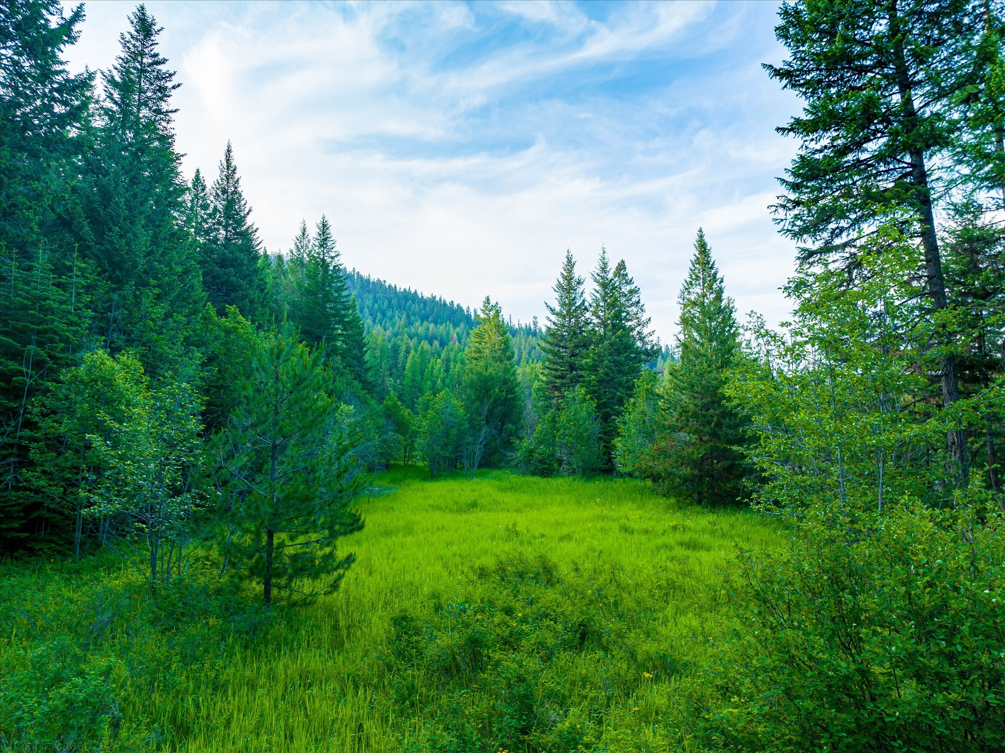 Marion, Montana 59925, United States, ,Land,Active,59520