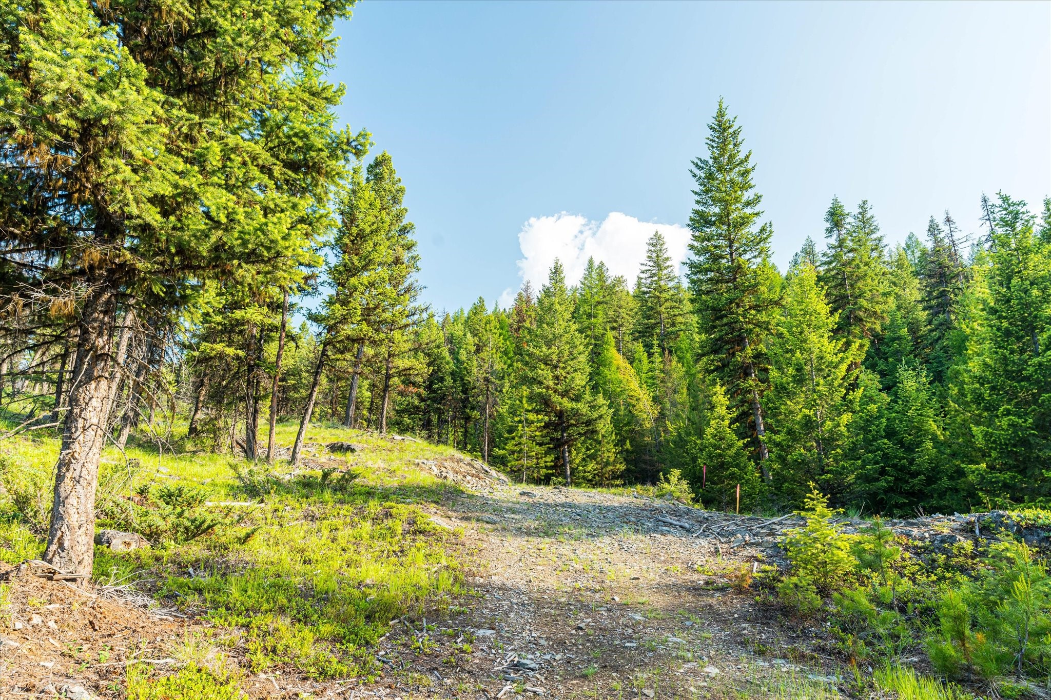 Marion, Montana 59925, United States, ,Land,Active,59520