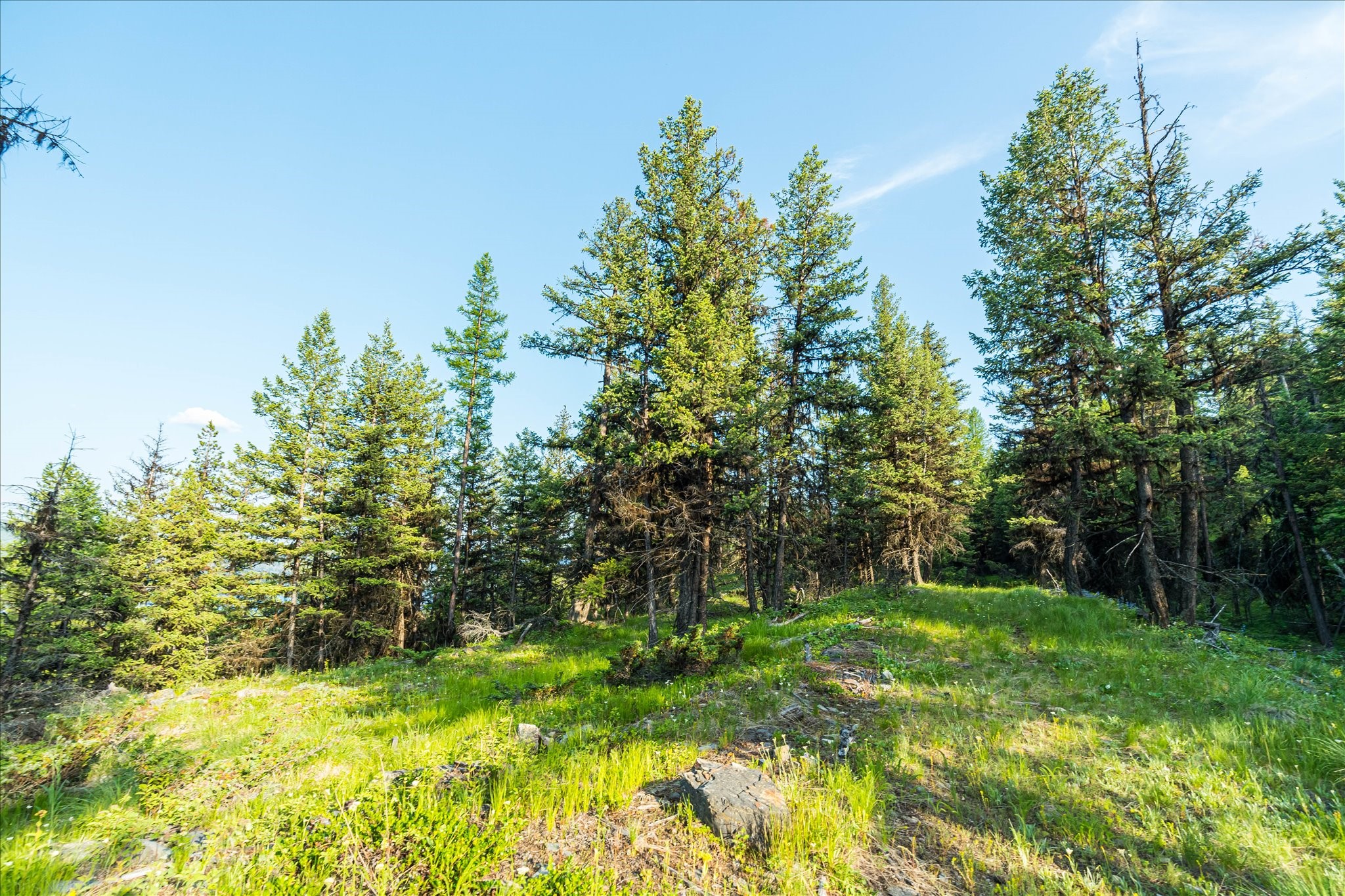 Marion, Montana 59925, United States, ,Land,Active,59520