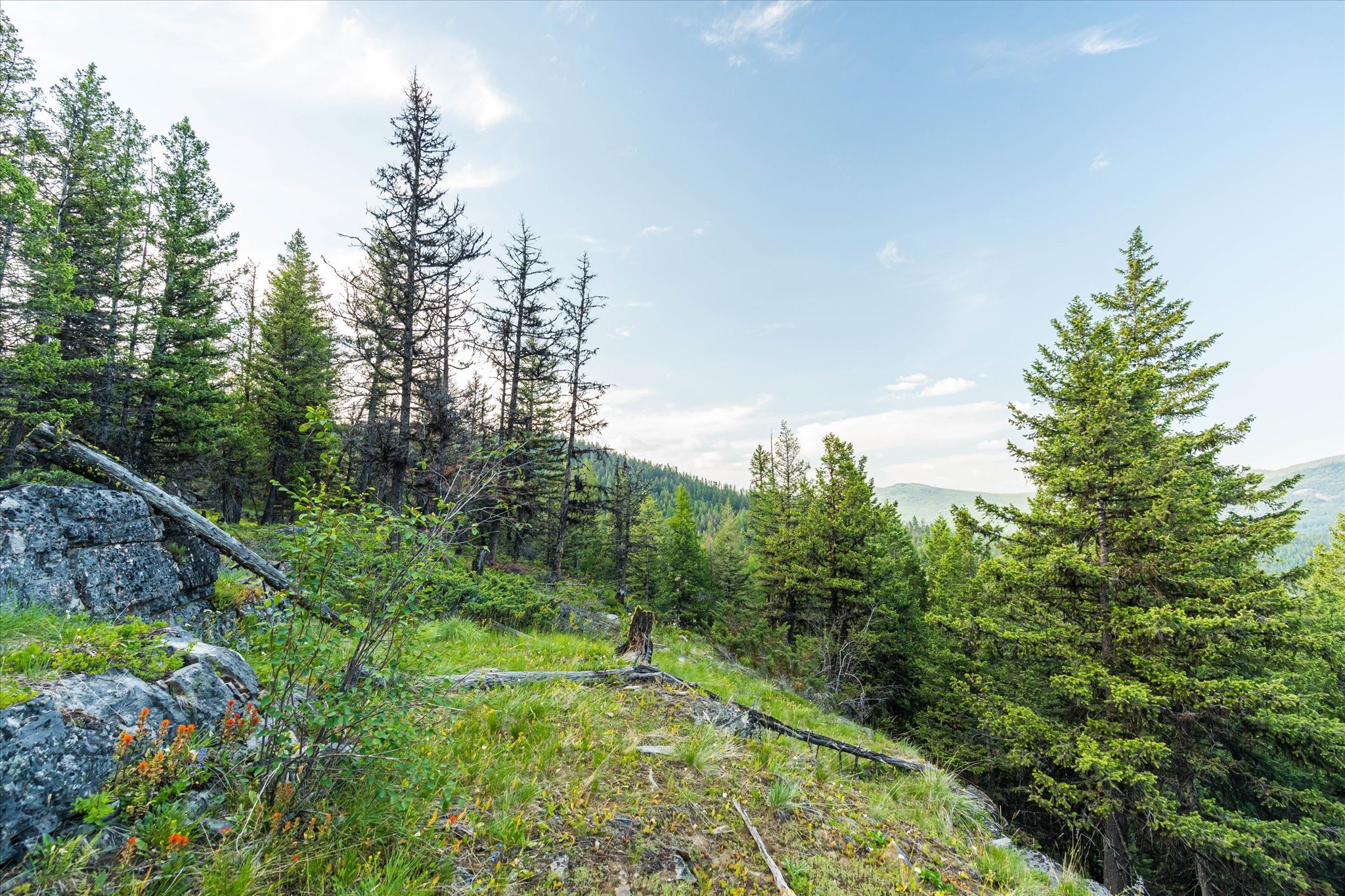 Marion, Montana 59925, United States, ,Land,Active,59520