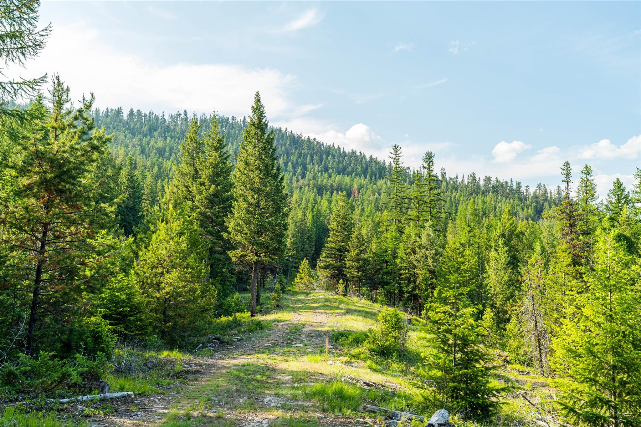 Marion, Montana 59925, United States, ,Land,Active,59520