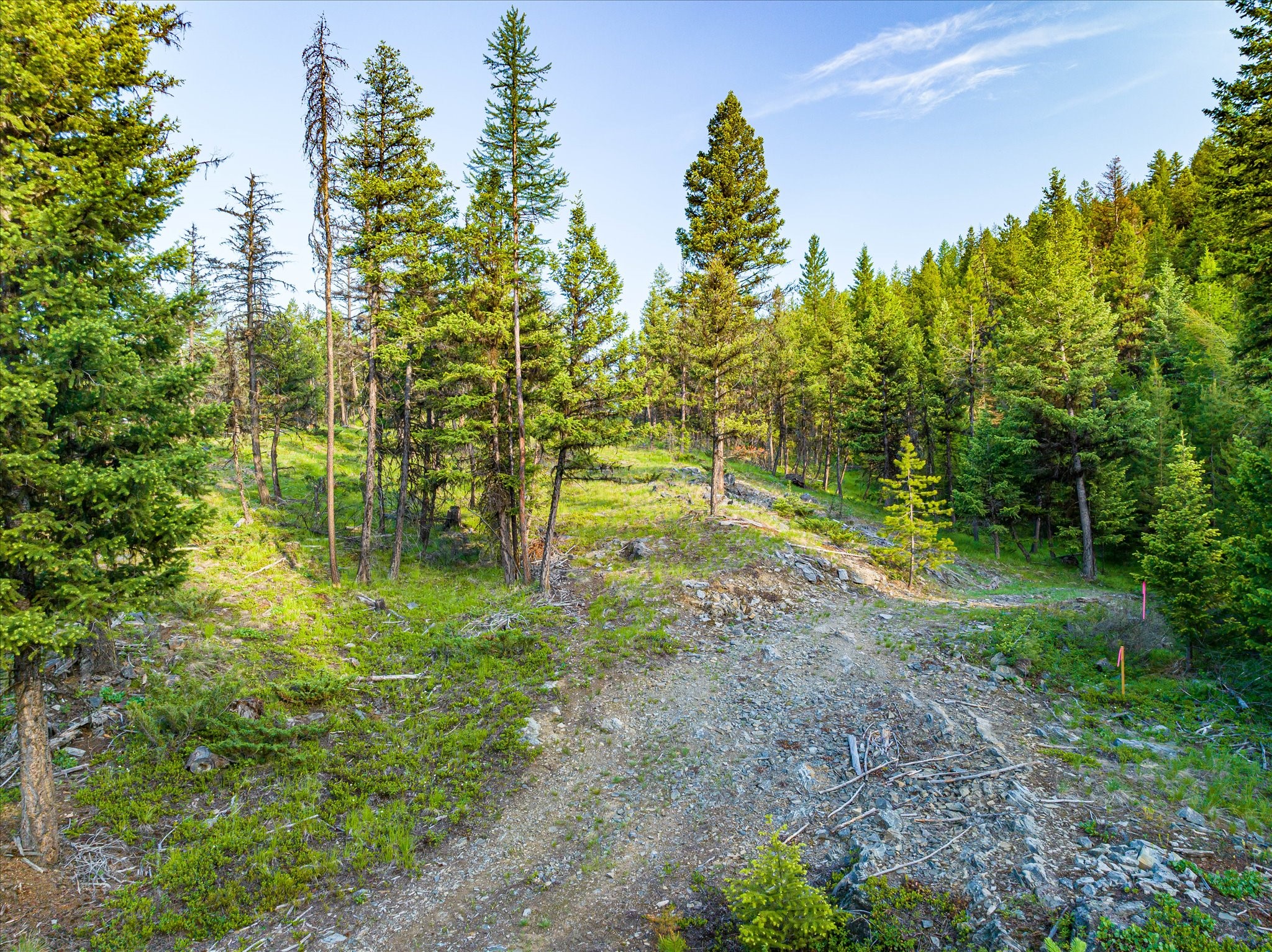 Marion, Montana 59925, United States, ,Land,Active,59520