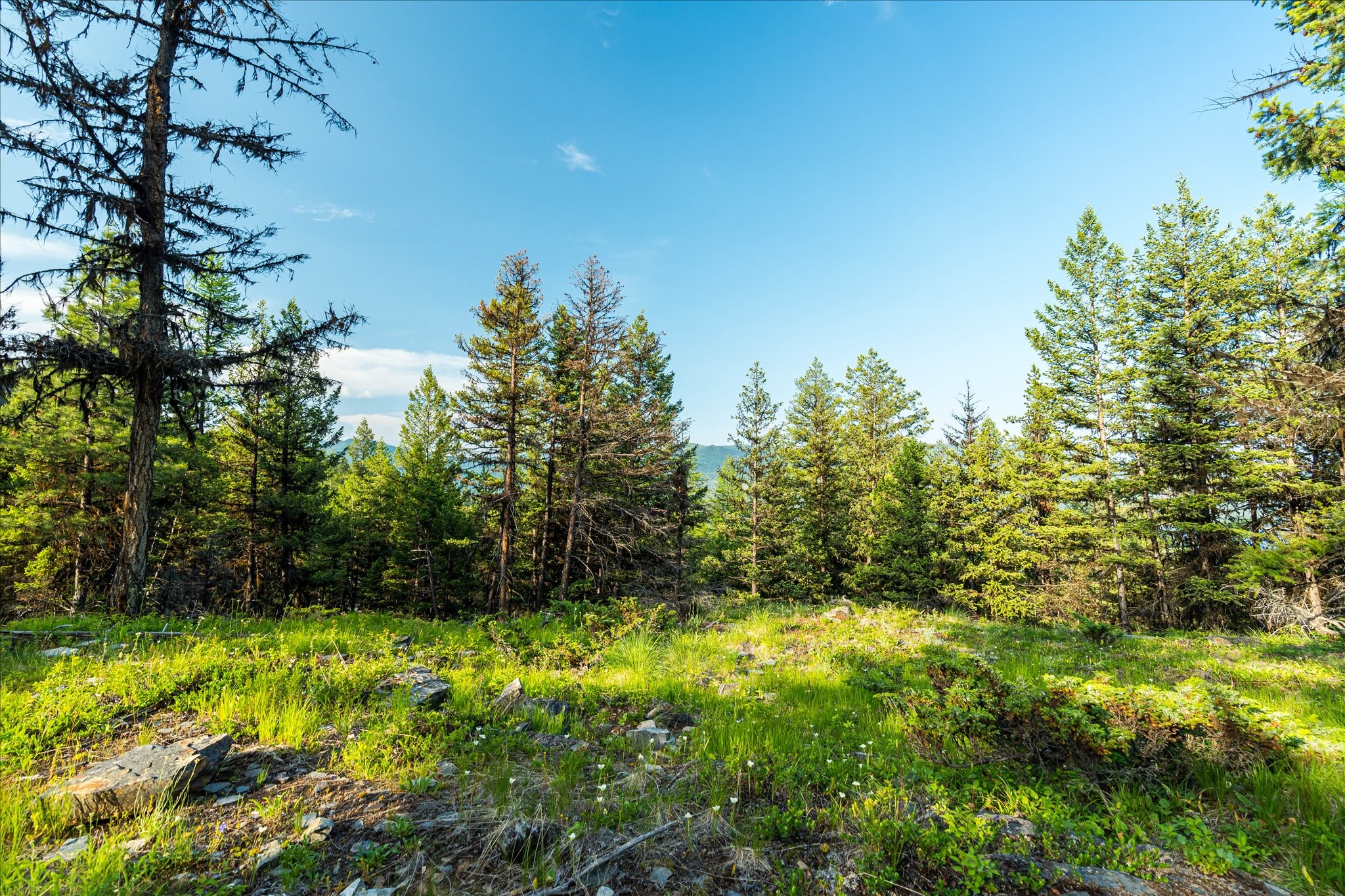 Marion, Montana 59925, United States, ,Land,Active,59520