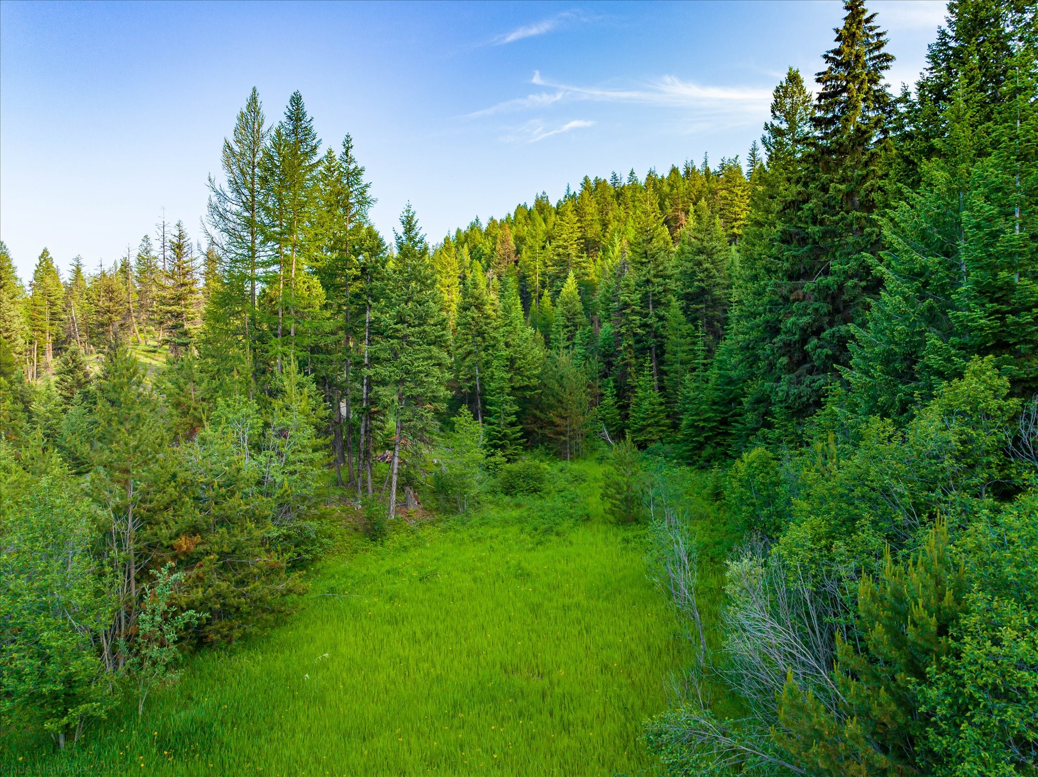Marion, Montana 59925, United States, ,Land,Active,59520