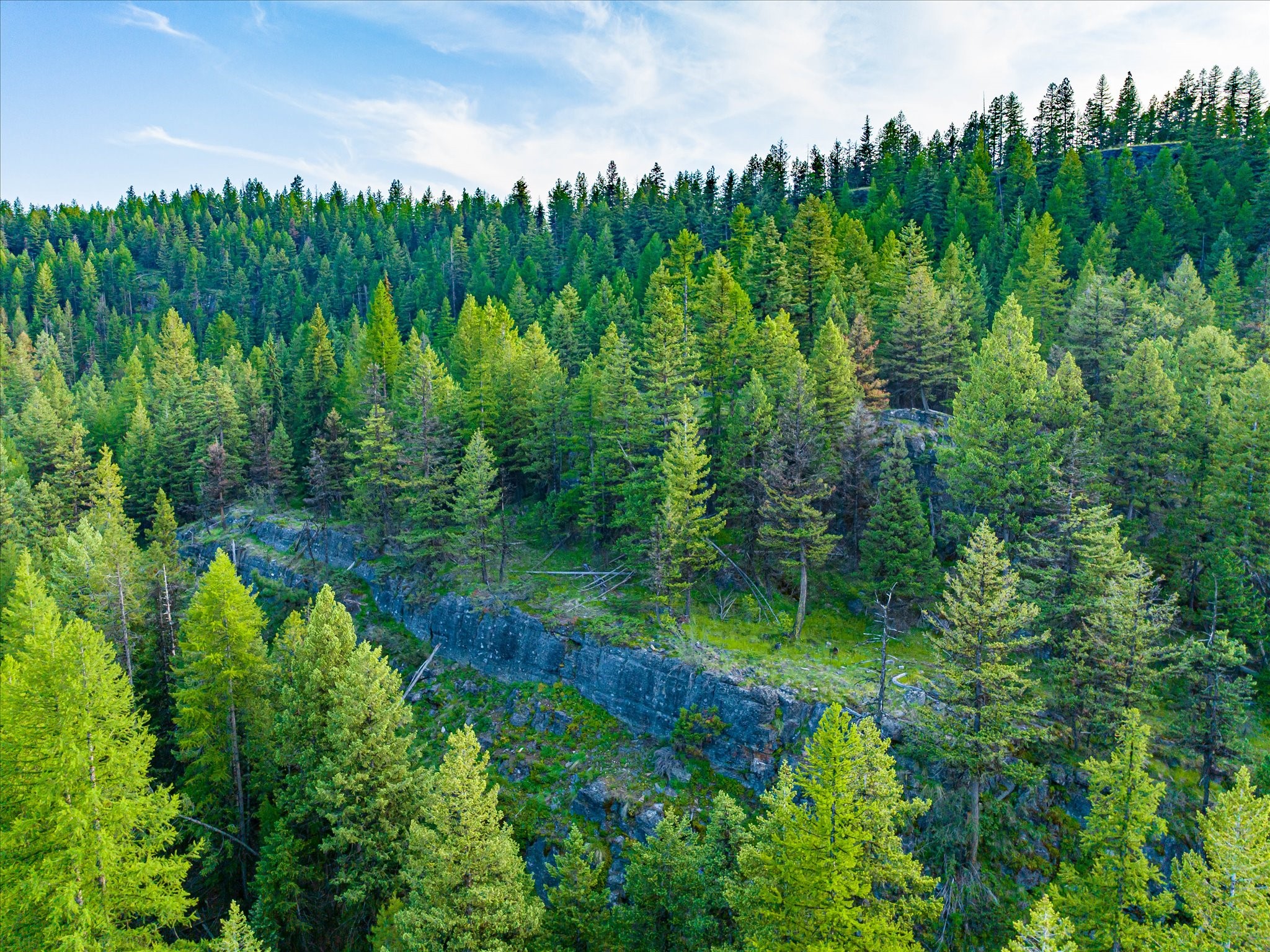 Marion, Montana 59925, United States, ,Land,Active,59520