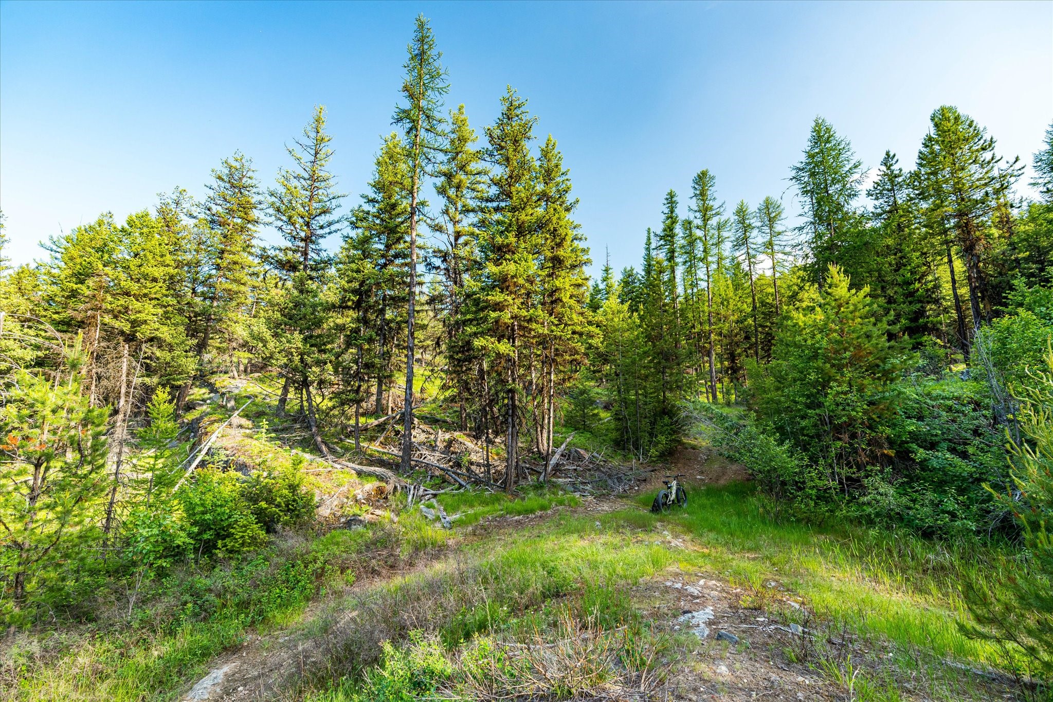 Marion, Montana 59925, United States, ,Land,Active,59520