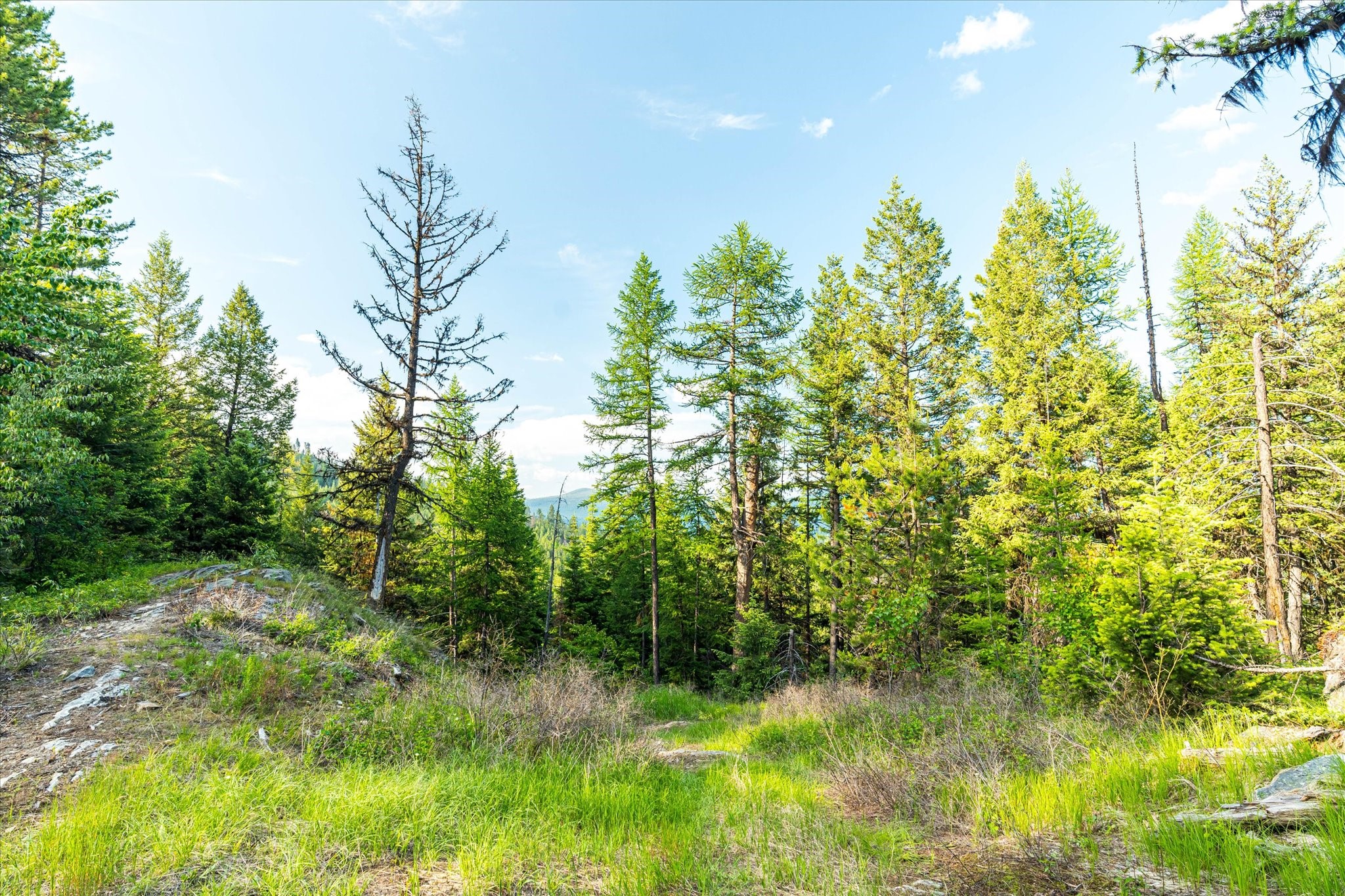 Marion, Montana 59925, United States, ,Land,Active,59520