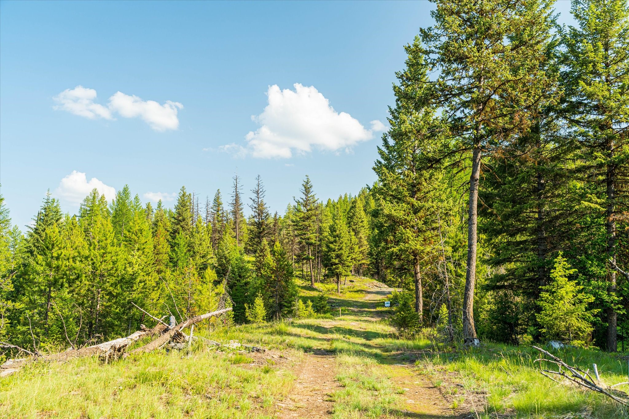 Marion, Montana 59925, United States, ,Land,Active,59520