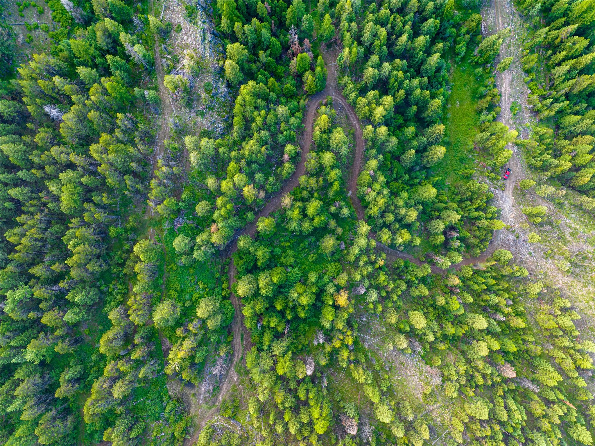 Marion, Montana 59925, United States, ,Land,Active,59520