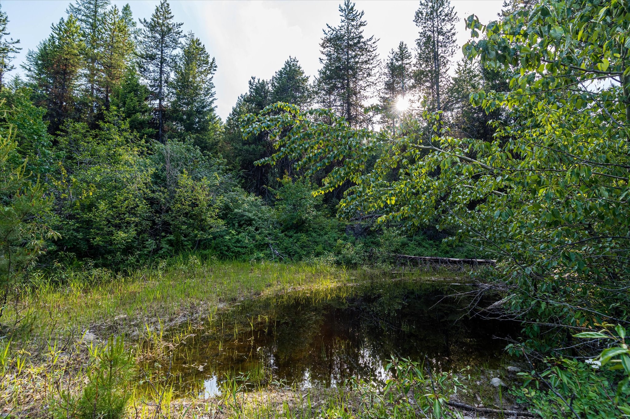 Marion, Montana 59925, United States, ,Land,Active,59520